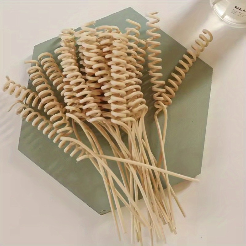 Reed Diffuser Set - 10 Buah Tanaman Tongkat Rotan Melengkung